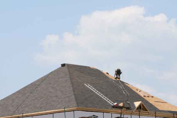 Professional Roofing Contractor